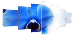 Obraz s orchidejí (210x100cm)