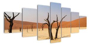 Obraz pouště (210x100cm)