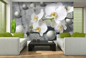 3D Fototapeta Orchidej papír 254 x 184 cm
