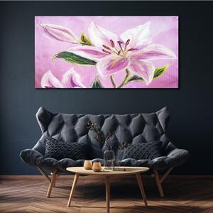 Obraz na plátně Obraz na plátně Květy rostlin listy