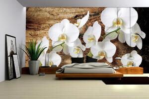 Fototapety Bílá orchidej 3 vlies 104 x 70,5 cm