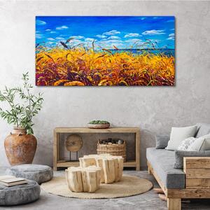 Obraz na plátně Obraz na plátně Louka pšeničná obloha