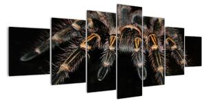 Obraz tarantule (210x100cm)