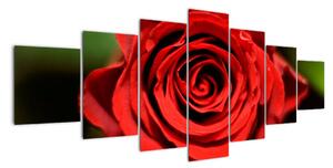 Obrázek růže (210x100cm)