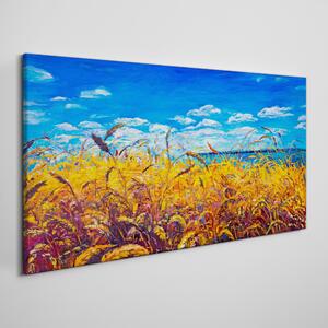 Louka pšeničná obloha Louka pšeničná obloha Obraz na plátně