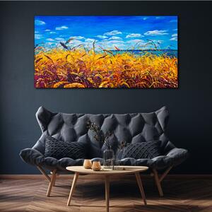 Obraz na plátně Obraz na plátně Louka pšeničná obloha
