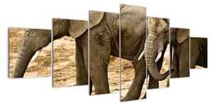 Slon, obraz (210x100cm)