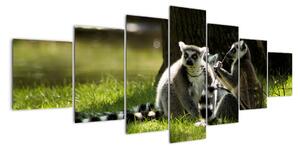 Obraz lemurů (210x100cm)