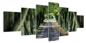 Údolí stromů, obrazy (210x100cm)
