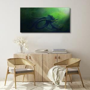 Obraz na plátně Obraz na plátně vodní ryby chobotnice