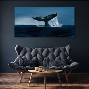 Obraz na plátně Obraz na plátně Velryba zvířat moře
