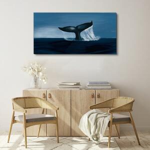 Obraz na plátně Obraz na plátně Velryba zvířat moře