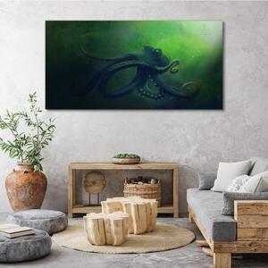 Obraz na plátně Obraz na plátně vodní ryby chobotnice