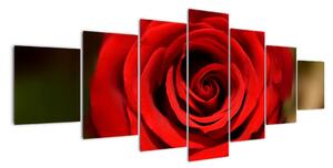 Detail růže - obraz (210x100cm)