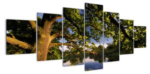 Obrázek stromu - moderní obrazy (210x100cm)