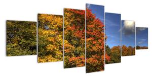 Podzimní stromy - obraz (210x100cm)