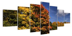 Podzimní stromy - moderní obraz (210x100cm)