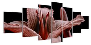 Detail květiny - obraz (210x100cm)