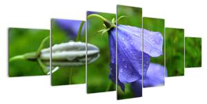 Obrazy květiny (210x100cm)
