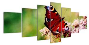 Motýl - obraz (210x100cm)