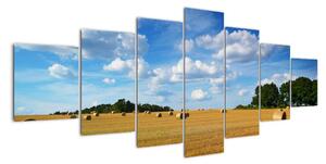 Letní pole - obraz (210x100cm)