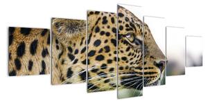 Leopard - obraz (210x100cm)