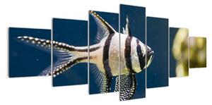 Ryba - obraz (210x100cm)