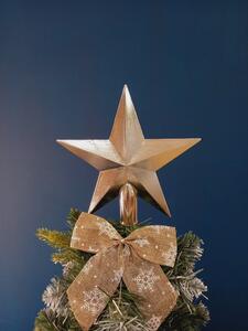 Bestent Špic na vánoční stromek Hvězda 20cm SILVER