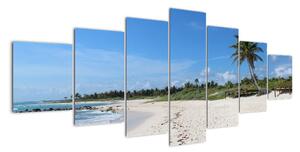 Exotická pláž - obraz (210x100cm)