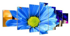 Modrá chryzantéma - obrazy (210x100cm)