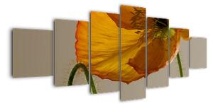 Žlutá květina - obraz (210x100cm)