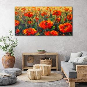 Obraz na plátně Obraz na plátně Květiny máků