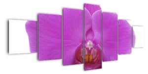 Orchidej - obraz (210x100cm)
