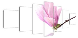 Květ - obraz (210x100cm)