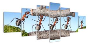 Obraz mravenců (210x100cm)
