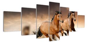 Koně - obraz (210x100cm)