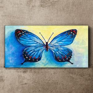 Obraz na plátně Obraz na plátně hmyz červa motýl
