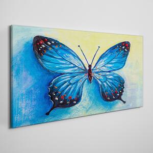 Obraz na plátně Obraz na plátně hmyz červa motýl