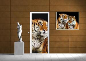 Fototapeta na dveře Tygři samolepící 91 x 211 cm