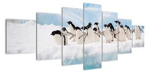Tučňáci - obraz (210x100cm)