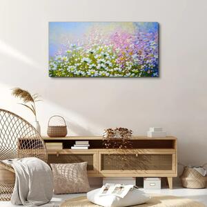 Obraz na plátně Obraz na plátně Moderní louka květiny