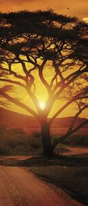 Fototapeta na dveře Africa Sunset vlies 91 x 211 cm