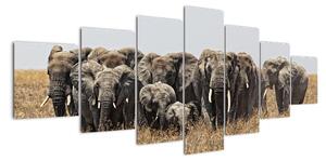 Stádo slonů - obraz (210x100cm)
