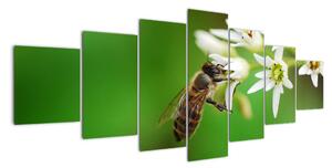 Fotka včely - obraz (210x100cm)