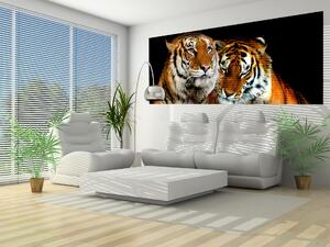 Fototapeta panoramatická vliesová Tygři