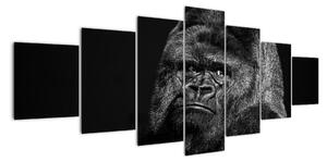 Obraz opice (210x100cm)