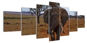 Obraz slona (210x100cm)