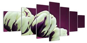 Makro tulipánů - obraz (210x100cm)