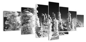 Obraz - zimní hory (210x100cm)
