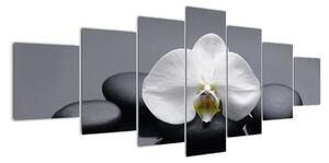 Květ orchideje - moderní obraz (210x100cm)